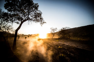 Experience The Rally With Us In Zambia - duncanquinn