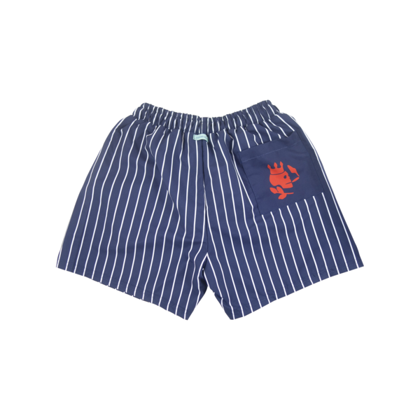 Stripe Swim Trunks | Navy - duncanquinn