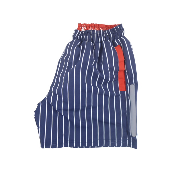 Stripe Swim Trunks | Navy - duncanquinn